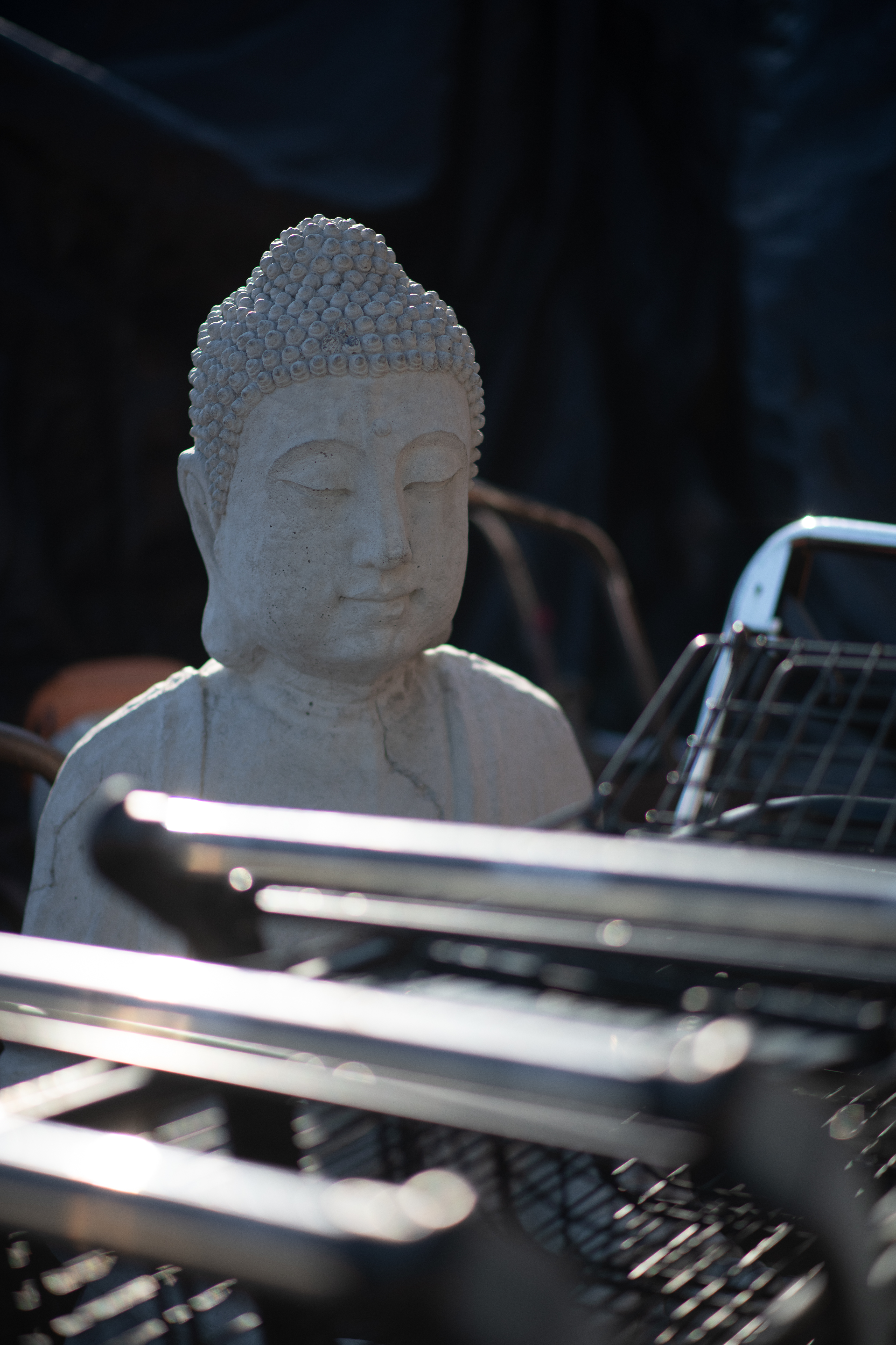 Buddah among the Shopping Carts